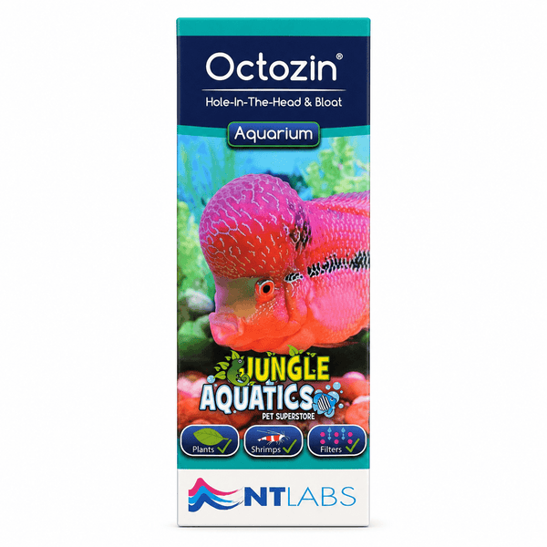 NT Labs Octozin 250ml (Aquarium Treatments)